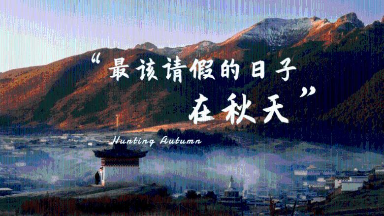 乔和莫莫