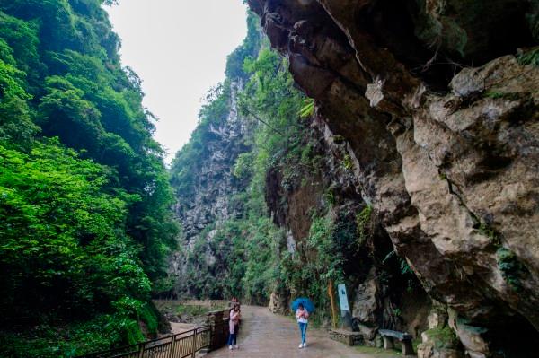 寂静岭：暴雨