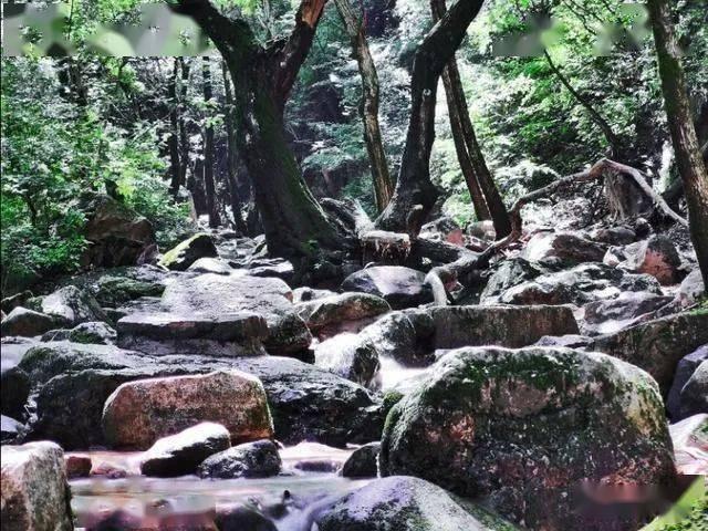 卡通骆驼救援
